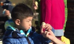 沙溢娱乐爆料视频合集,笑料百出，揭秘明星幕后趣事